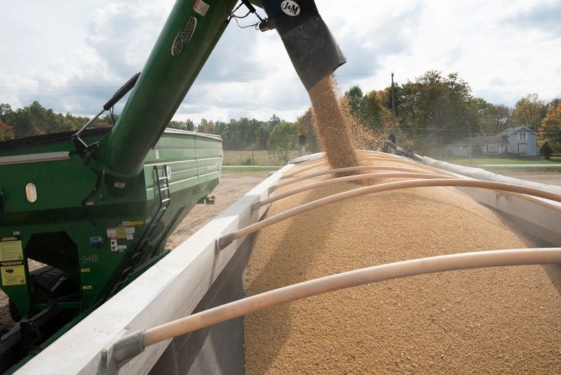 China's soymeal glut raises demand doubts ahead of US soybean export season