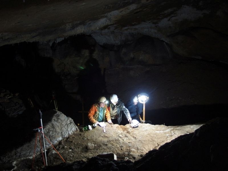Tools made of whale bones reveal inventiveness of prehistoric people