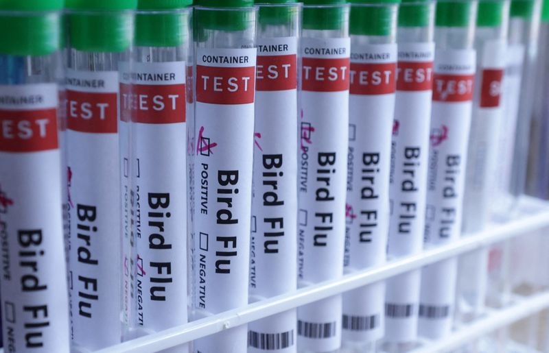 Mexico reports first human case of H5N1 bird flu