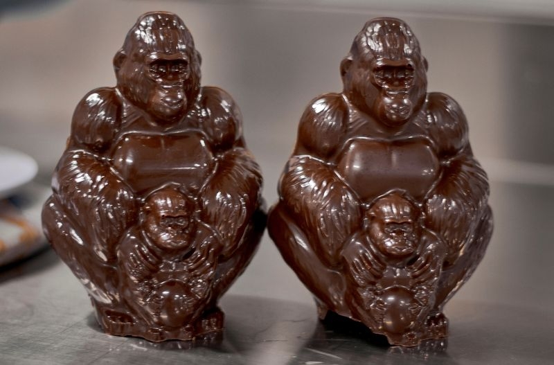 War-hit Congo park turns to chocolate gorillas in conservation push