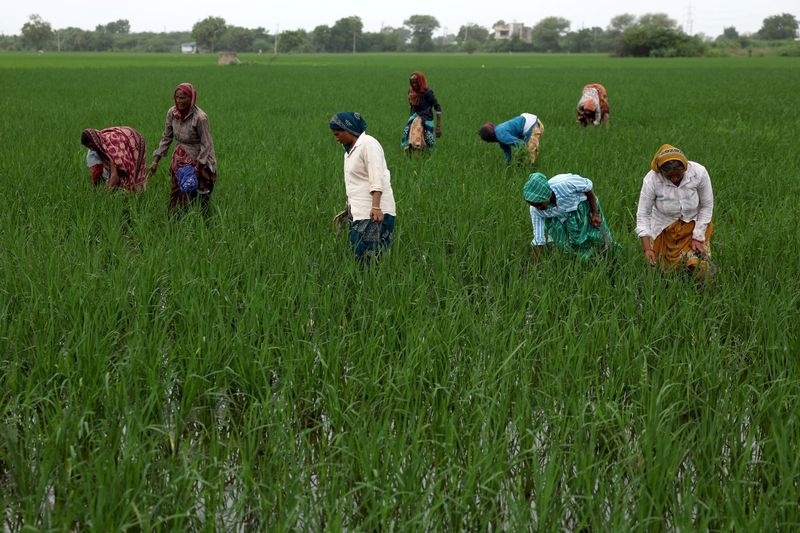 Why has India vowed to protect its farmers in the face of tariff threats?