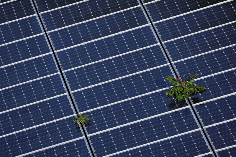 USDA ends programs for solar, wind projects on farms