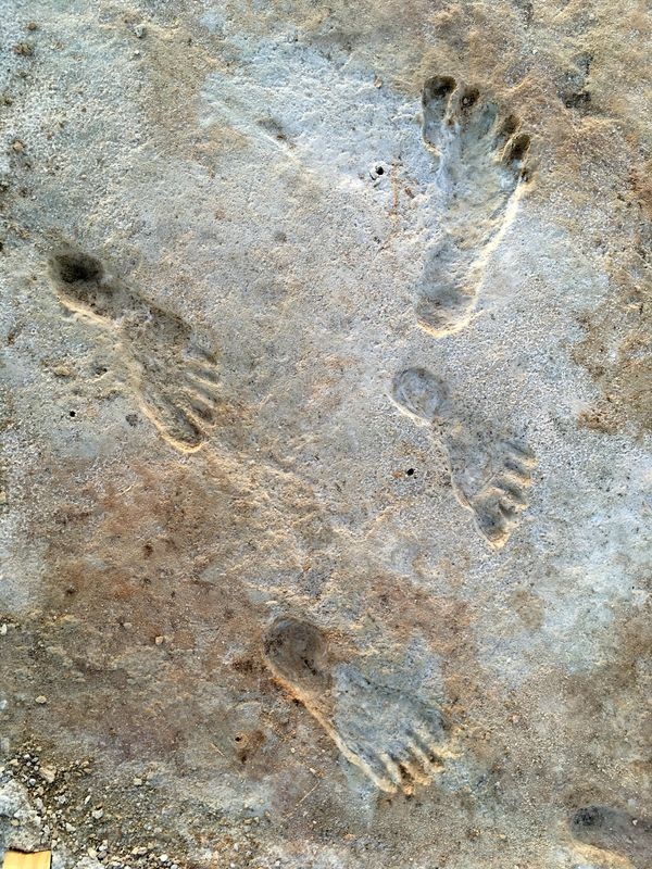 New research strengthens case for age of ancient New Mexico footprints