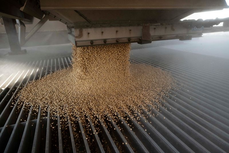 US soybean farmers urge Trump to make purchase deal with China