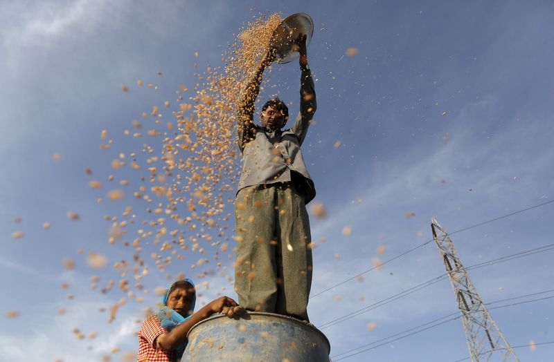 India wheat, rice production to rise to record high, government says