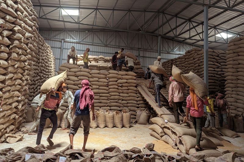 Analysis-No imports needed: India's wheat harvest defies market speculation