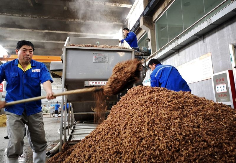 Trump trade war dries up sorghum sales to China but US farmers plan to plant more