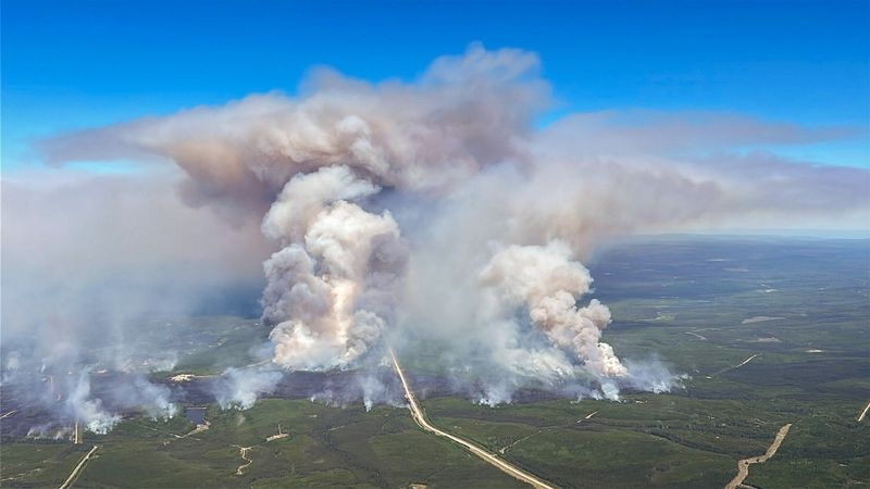 Wildfire smoke exposure may shorten lung cancer survival