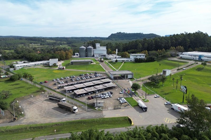 Brazil finds bird flu in wild bird, investigates potential case on commercial farm