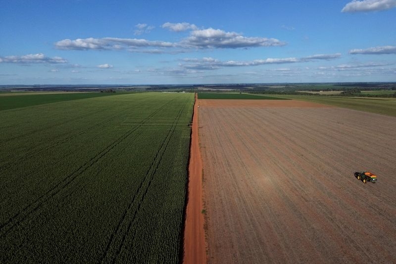 Paraguay's soy farmers ride tariff war 'toboggan'