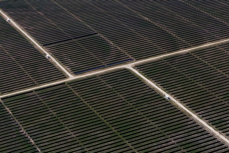 Trump administration to unveil tougher solar and wind subsidy rules