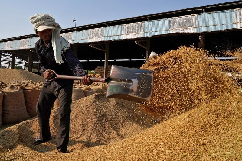 India's granaries overflow as rice stocks hit record, wheat surges
