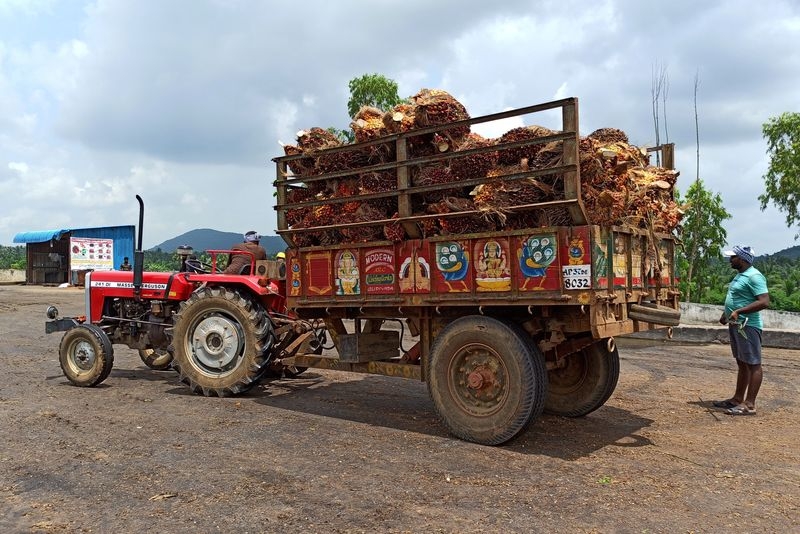 India, China seen aggressively buying palm oil in short term, industry expert says