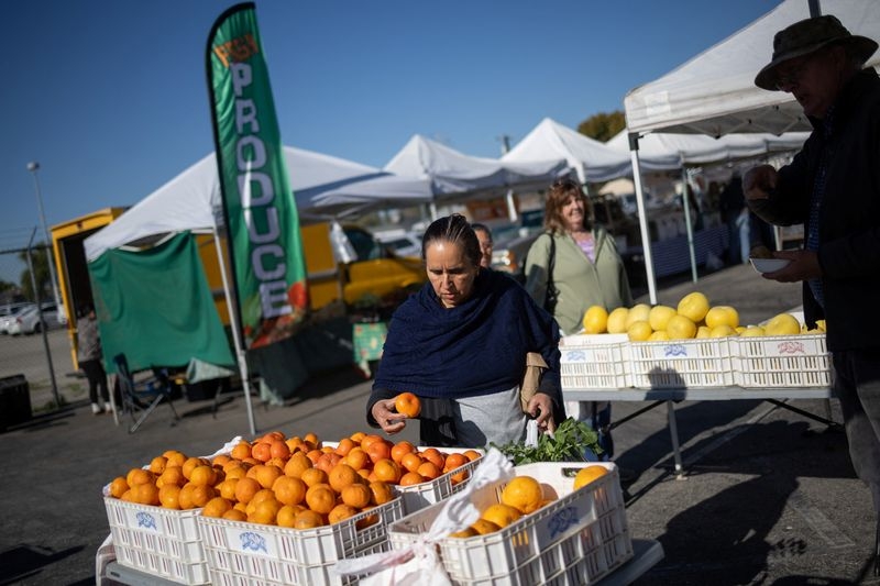 SNAP, Medicaid could be targets of Republican budget cuts, hurting poor Americans