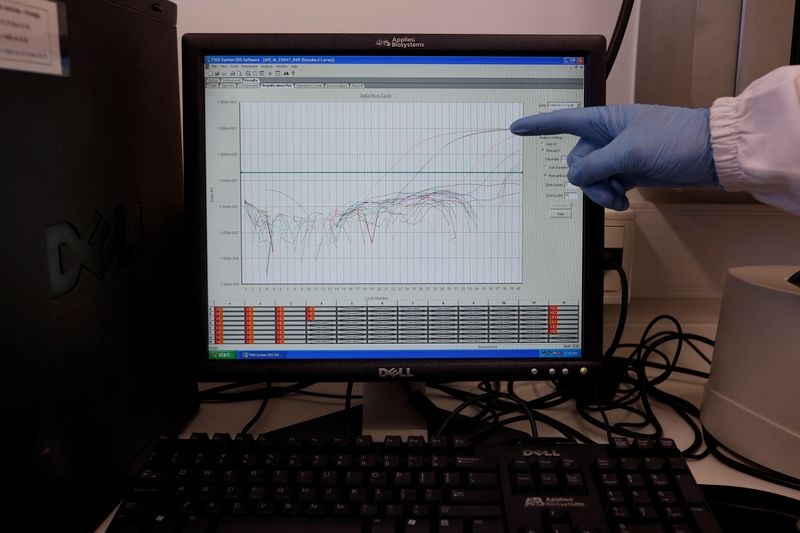 Explainer-What is bird flu, and why is Brazil's first case on a commercial farm concerning?