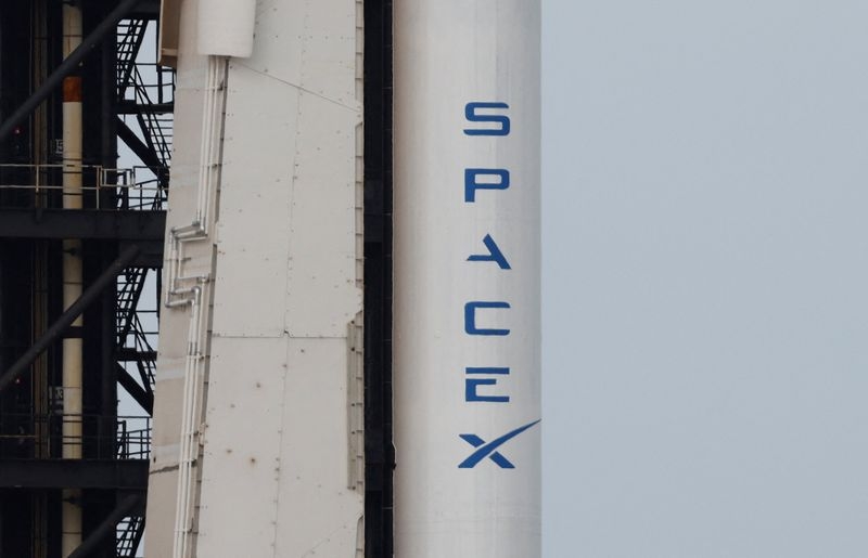 SpaceX rocket cargo project puts Pacific seabirds in jeopardy