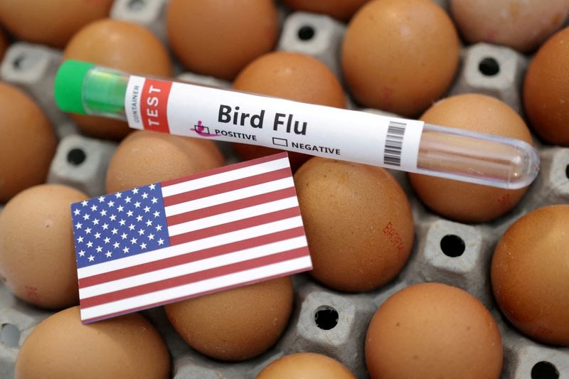 FDA suspends program to improve bird flu testing due to staff cuts