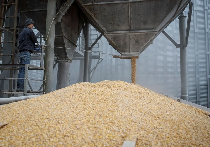 Exclusive-Ukraine's 2025 grain harvest may fall 10%, minister says
