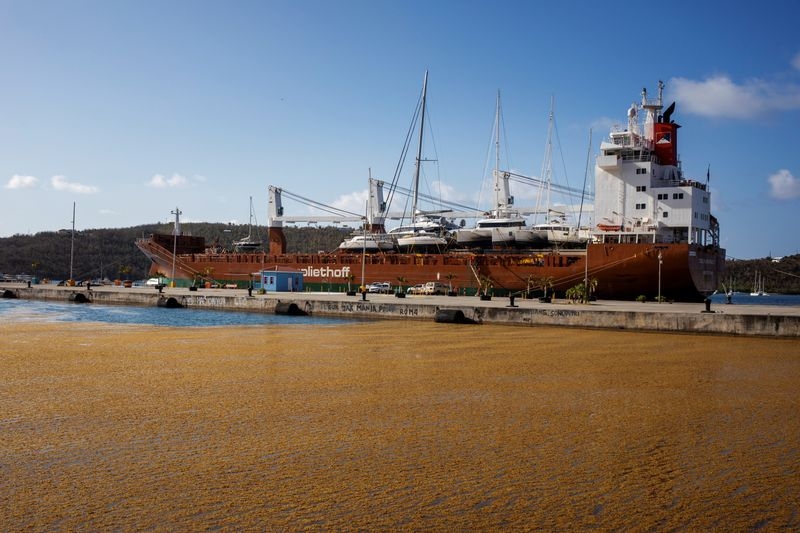 US Virgin Islands involved in US international ship registry proposal, governor says