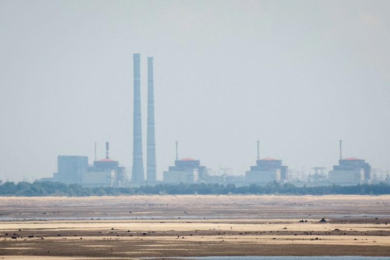Russia says situation at Zaporizhzhia plant under control but situation is complex