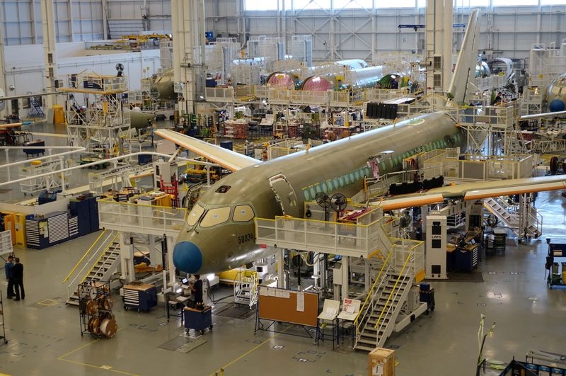 Rampaging raccoons add to Airbus factory headaches