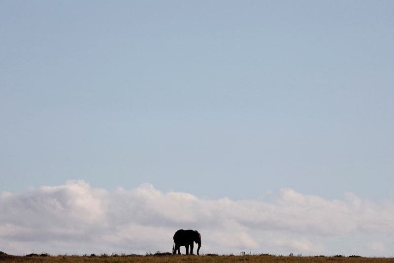 Humans adapted to diverse habitats before trekking out of Africa
