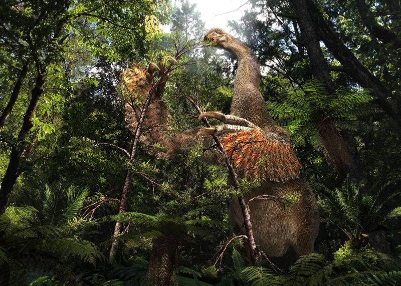 Weird Mongolian dinosaur wielded 'big, sharp and nasty' claws
