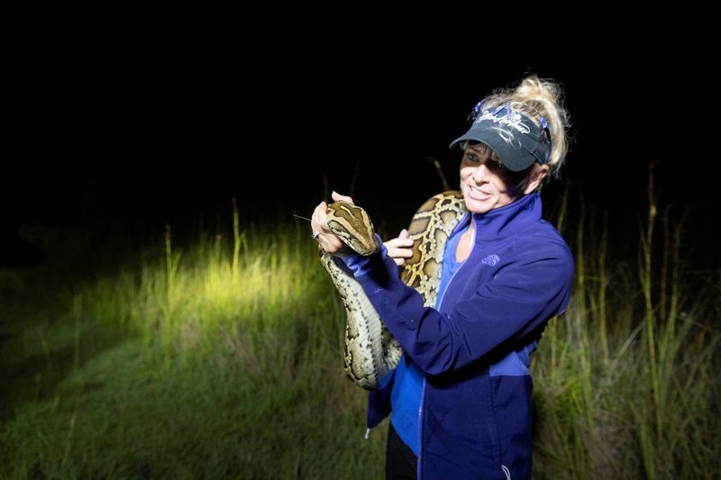 'Python Huntress' takes on invasive snakes in the Everglades