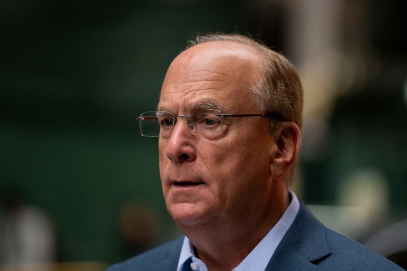 BlackRock's Fink warns of protectionism amid private market push