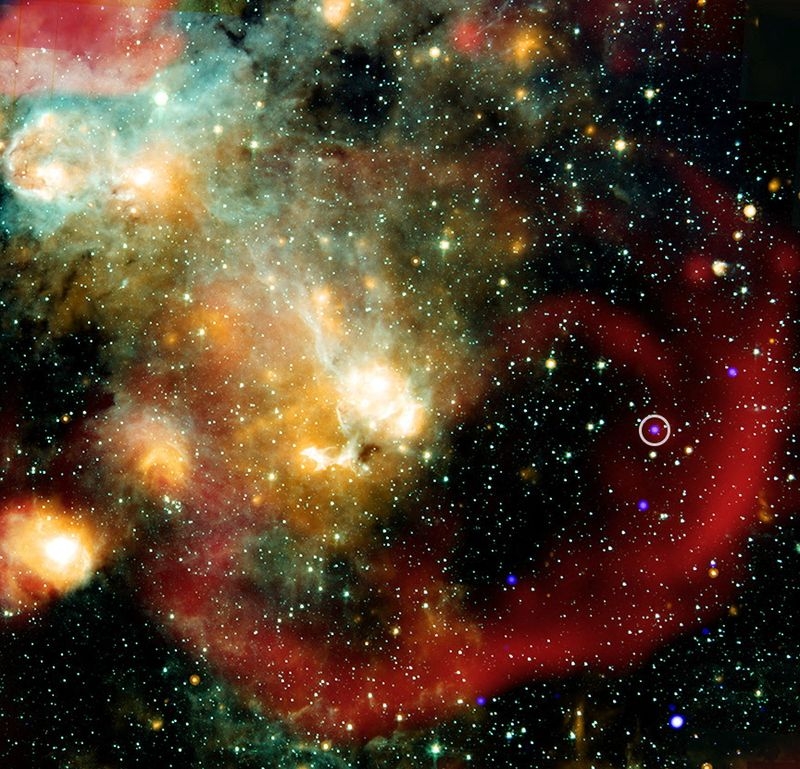 Astronomers scrutinize a star behaving unlike any other