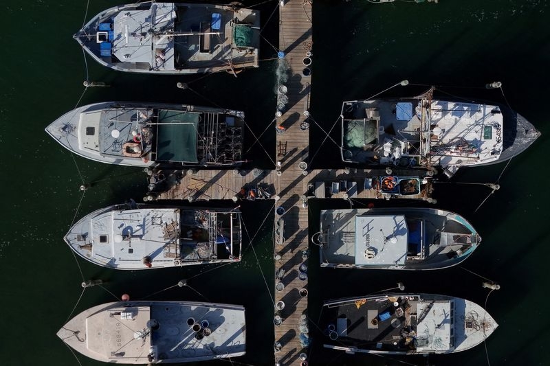 Trump's regulatory freeze throws US fishing industry into chaos