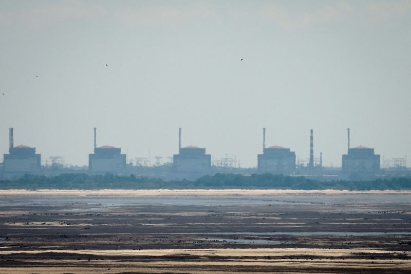 Ukraine protests to IAEA over Russia building power lines to Zaporizhzhia nuclear plant
