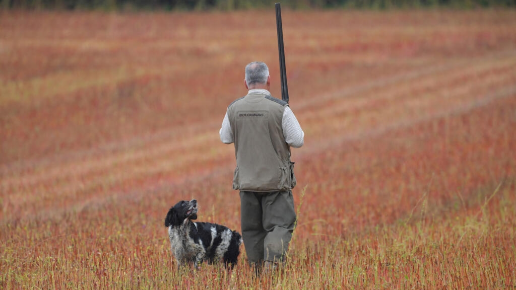 Most French favour Sunday hunting ban amid safety concerns