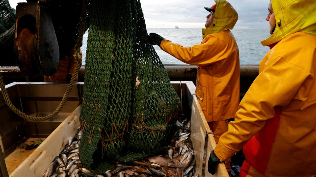 French NGOs slam 'lack of ambition' after Macron's bottom trawling announcement