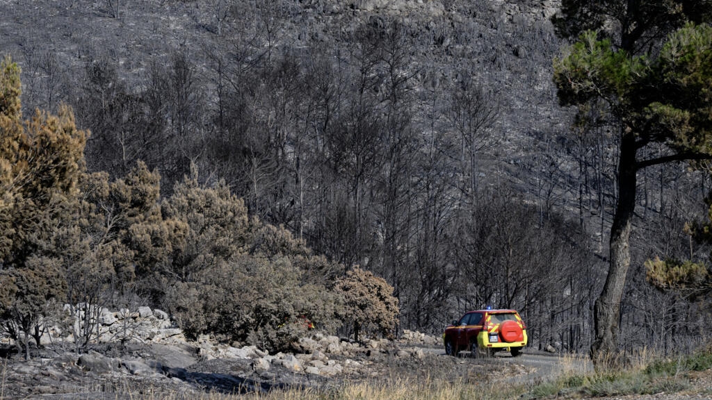 Prosecutors examine arson link to France's worst wildfire in 50 years