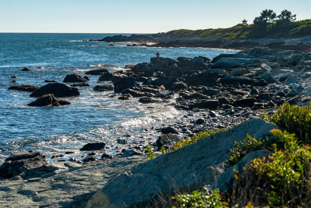 Can a local fishing panel make a difference in offshore wind projects? We're about to find out.