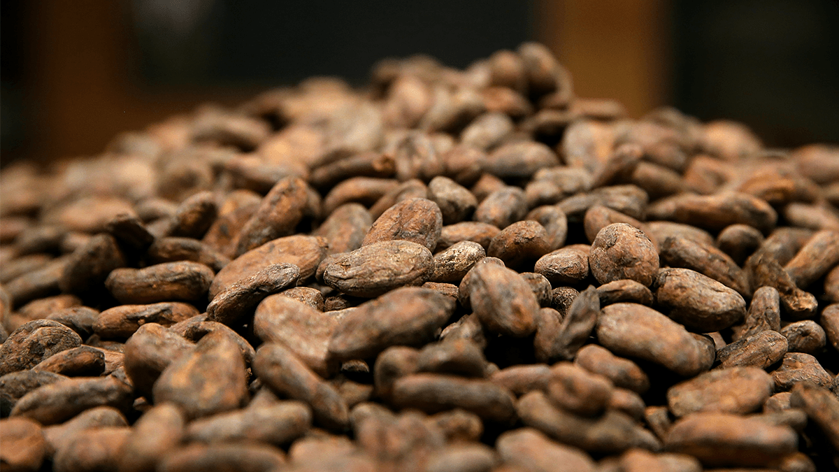 Inside the Chocolate Market Meltdown: How Historically High Prices Are Destroying Demand