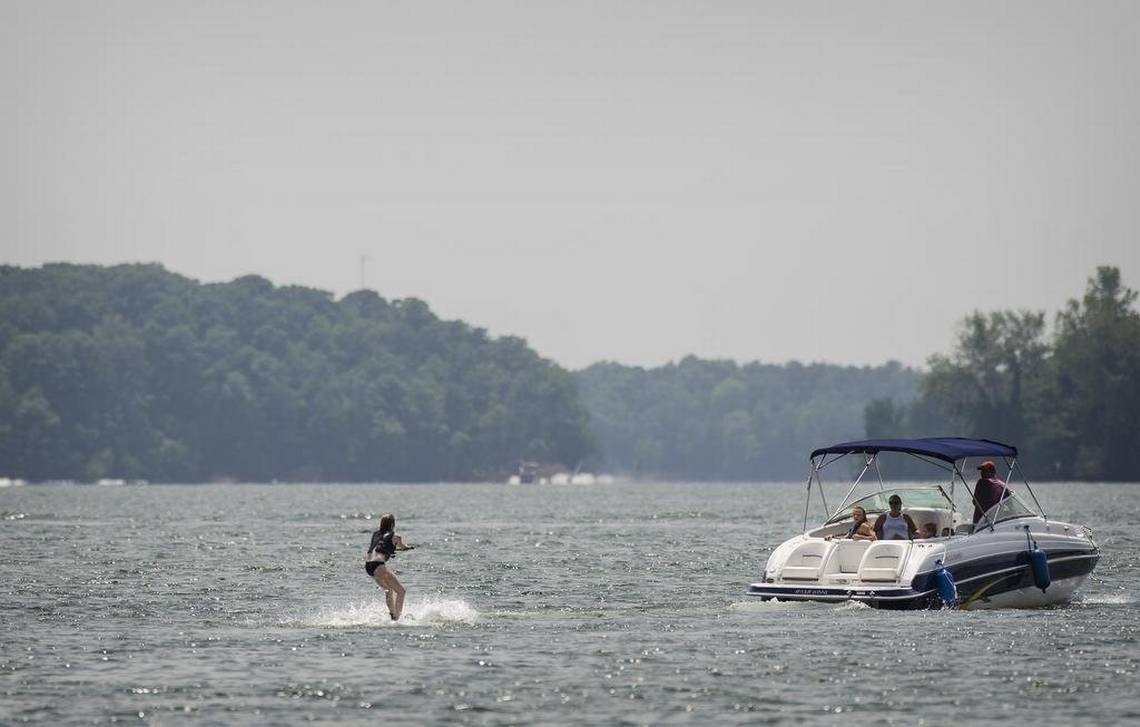 Invasive fish first found in Lake Norman is spreading rapidly in NC, state says