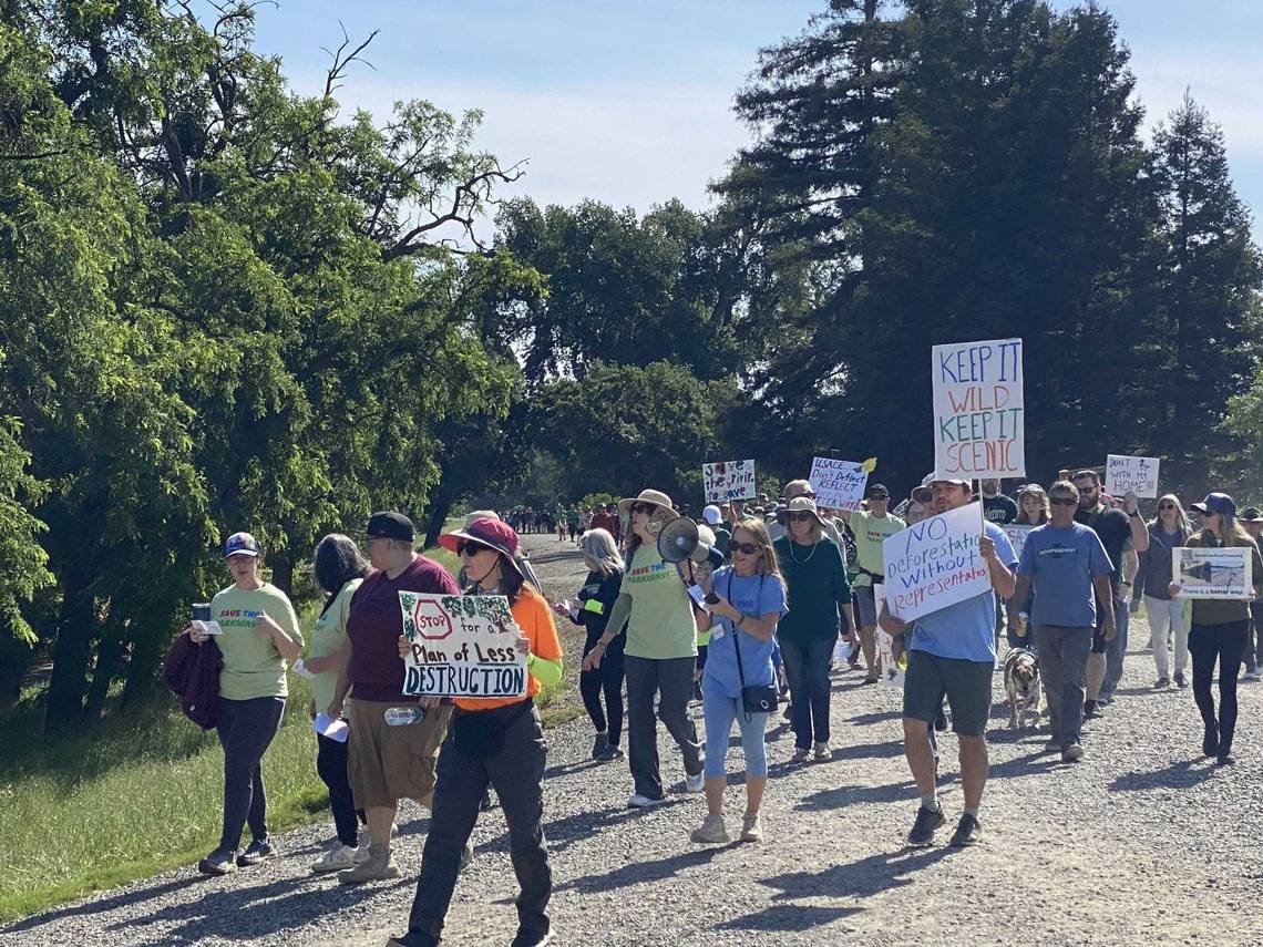 Hundreds protest razing trees on Sacramento's American River. ‘This affects all'