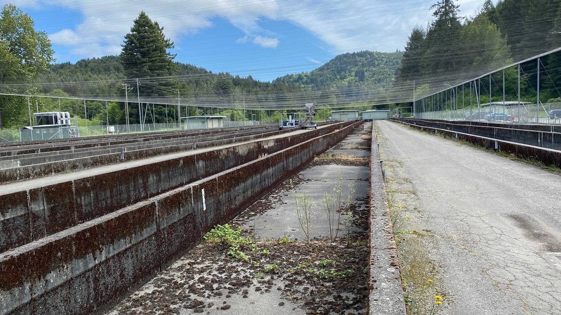 State wildlife officials to shut Northern California fish hatchery, citing costs