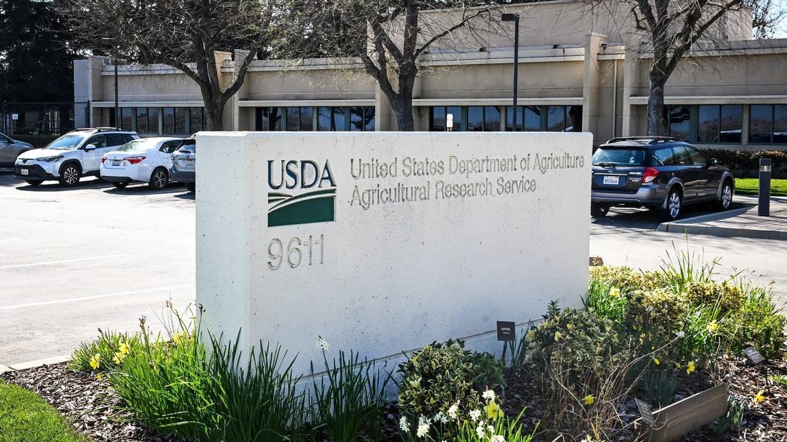 Will USDA cuts affect Sacramento-area food banks? Officials say there's ‘uncertainty'