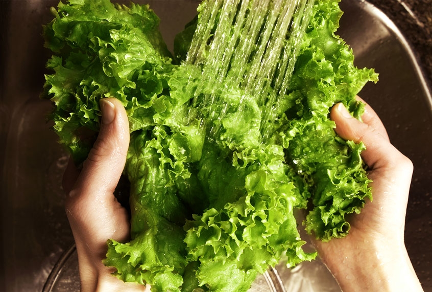 The name of the grower behind a deadly E. coli lettuce outbreak has been disclosed