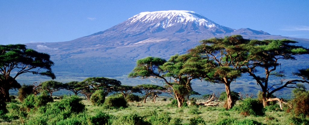This Traditional African Diet Appears to Boost The Immune System