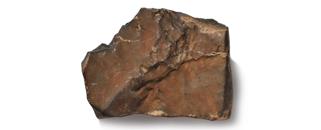 Sold: Largest Mars Rock Exceeds Auction Expectations