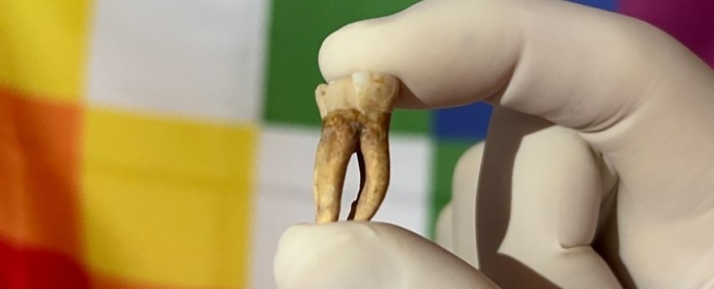 Leprosy Was Lurking in The Americas Long Before Colonization, Study Finds