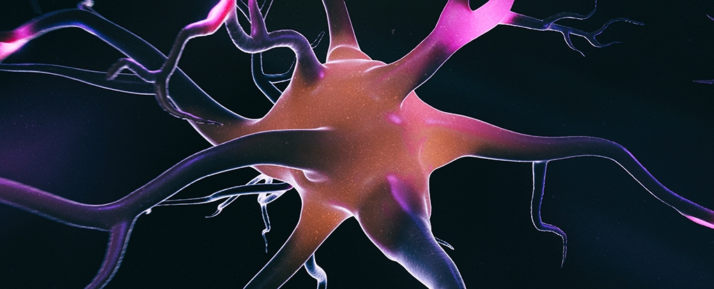 Men Have Higher Risk of Parkinson's, And We May Finally Know Why