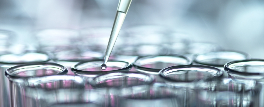 Experimental Therapy Suppresses Immune Reaction to Gluten in Mice