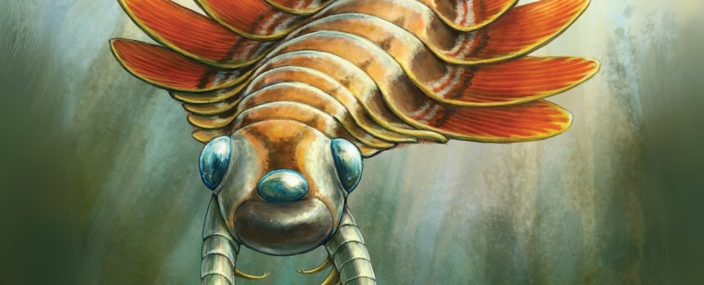 Bizarre Three-Eyed Predator Hunted The Ocean Half a Billion Years Ago