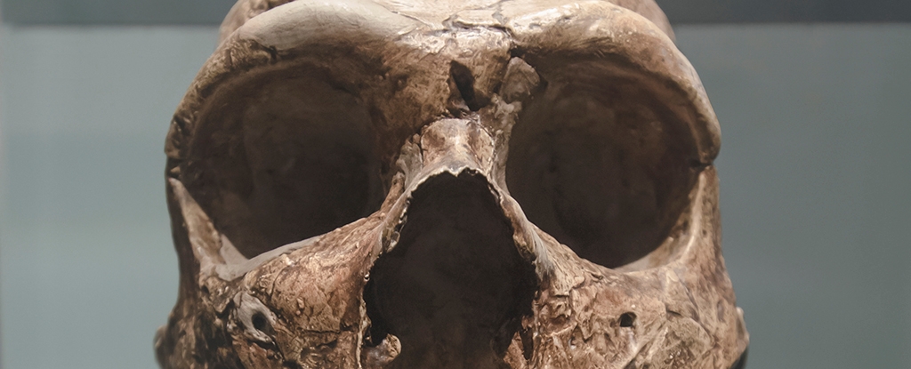 Neanderthal Extinction Linked to Genetic Crisis 100,000 Years Ago