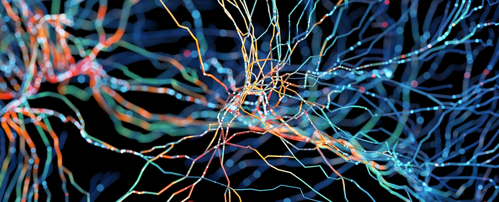 Iron in The Brain Might Help Explain Curious Link Between ADHD And Dementia